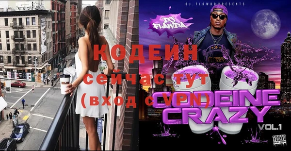 индика Нягань