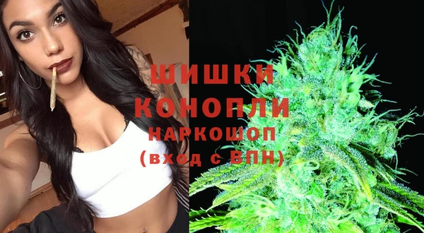 крисы Новокубанск