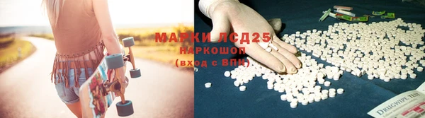 крисы Новодвинск
