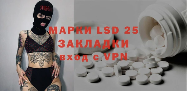 крисы Новодвинск
