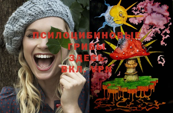 крисы Новодвинск