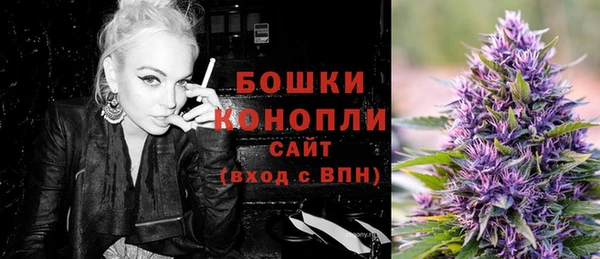 крисы Новокубанск