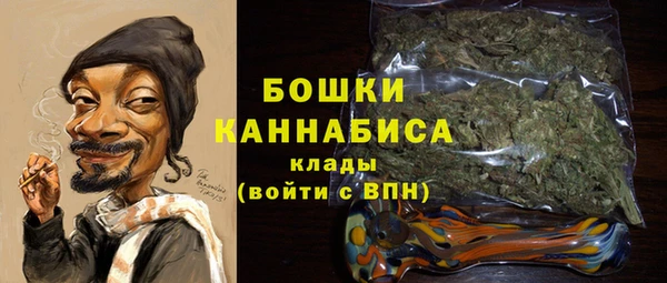 метадон Новозыбков