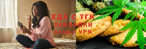 индика Нягань