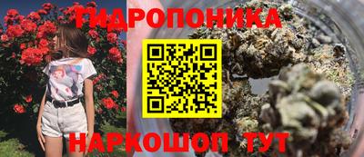 mdpv Гусев